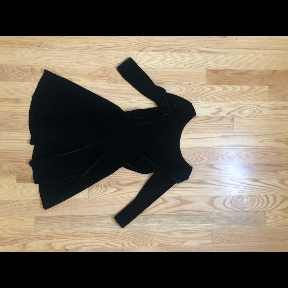 American Apparel Velvet Skater Dress